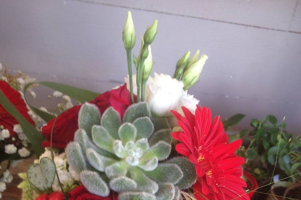 Bouquet succulentes