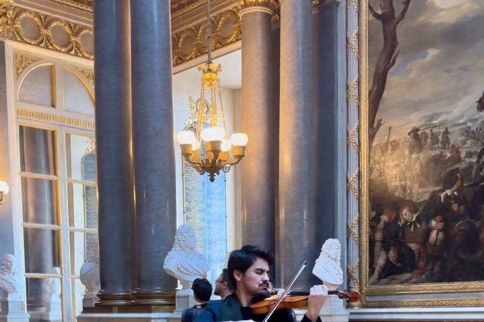 Violon, Château de Versailles