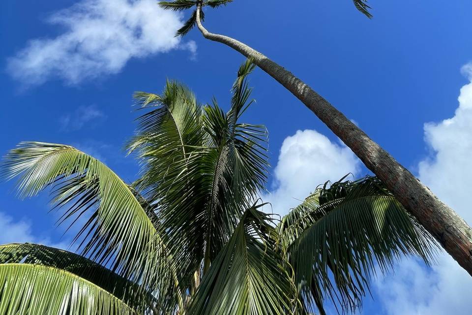 Ciel bleu de Tahiti