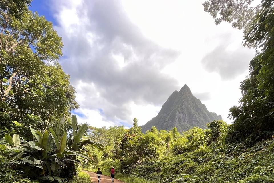 Balade à cheval a Moorea