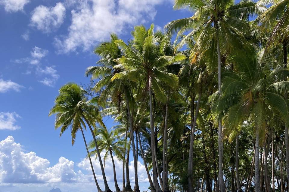 Kayak à Raiatea
