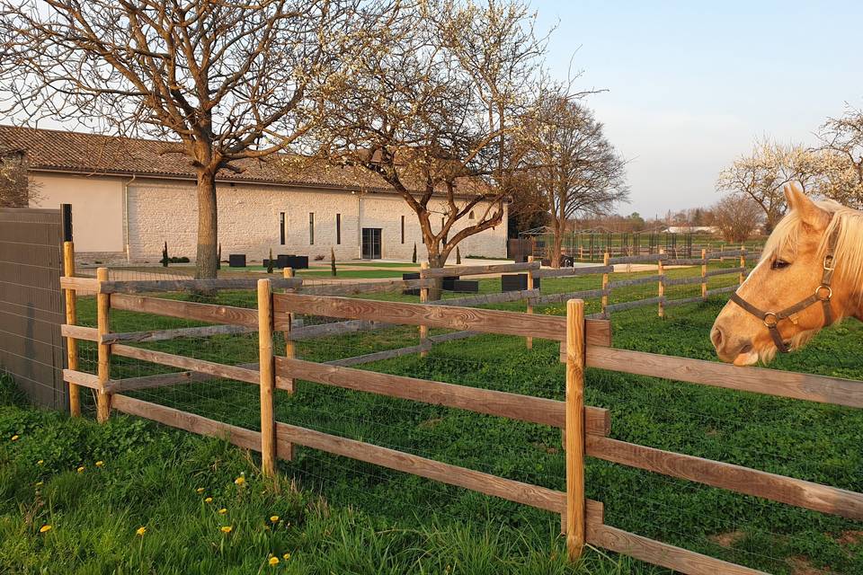 Domaine de la Baronnie