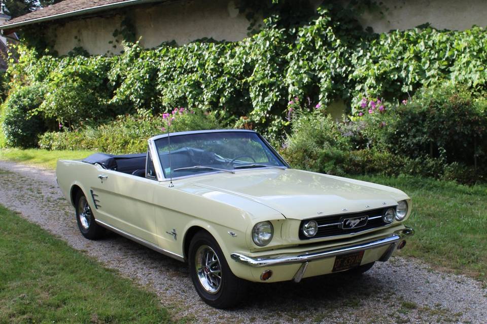 Mustang 1966 cab