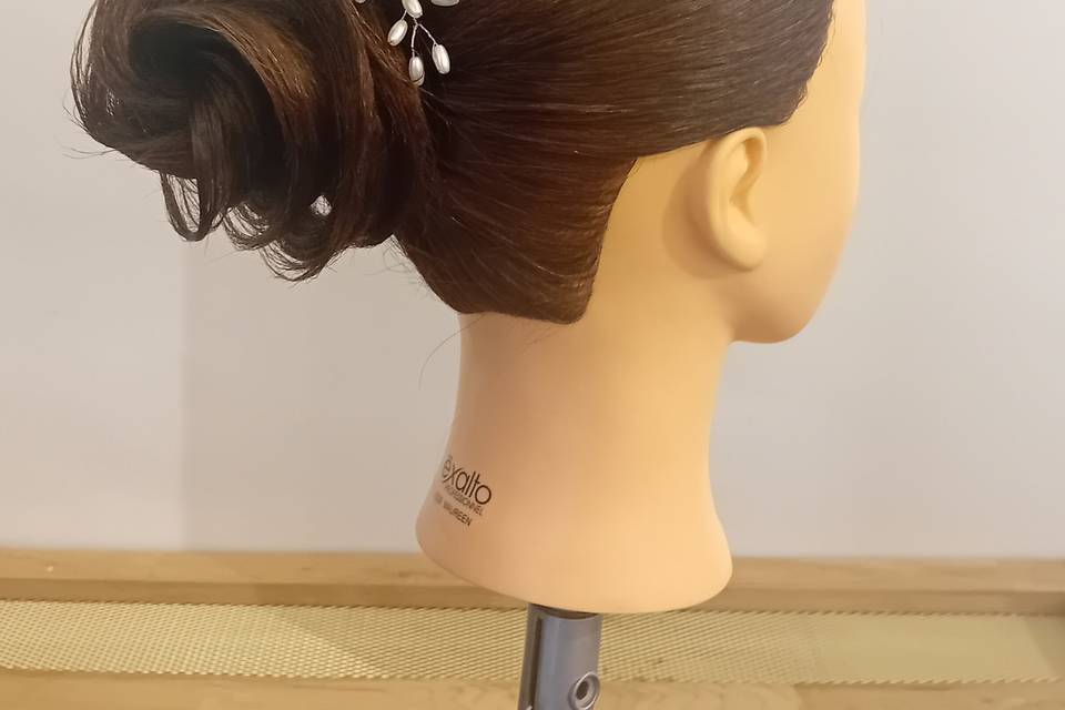 Chignon 3D