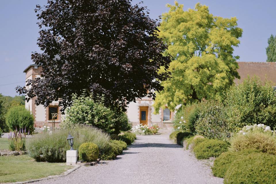 Jardin