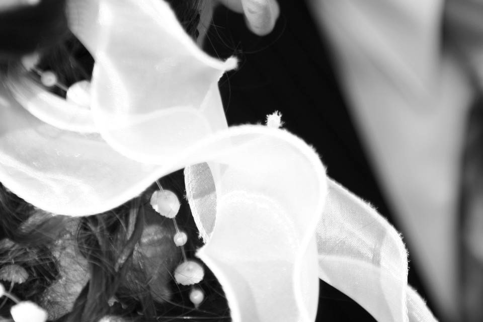 Le detail