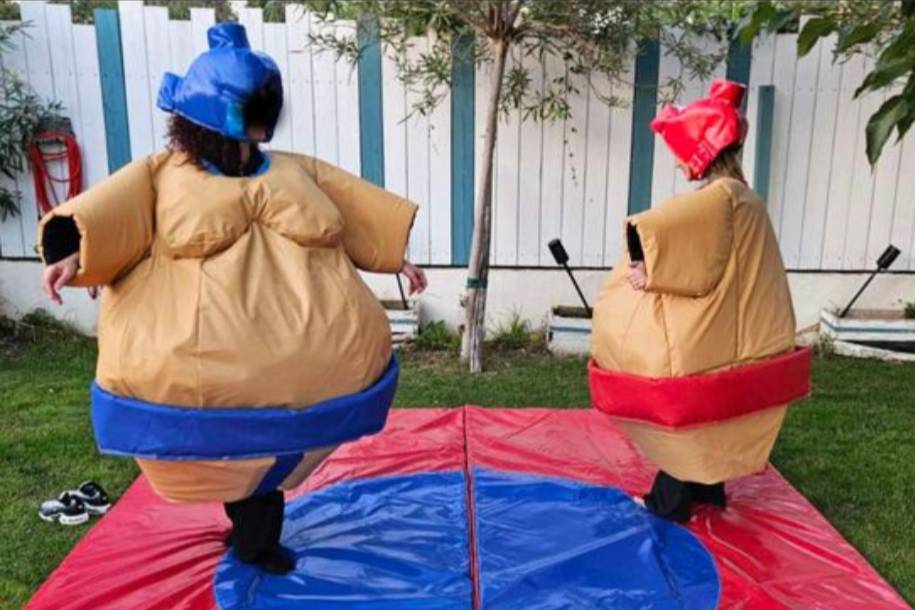 Jeu de sumos adultes