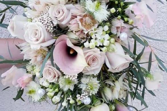 Couleur Pivoine