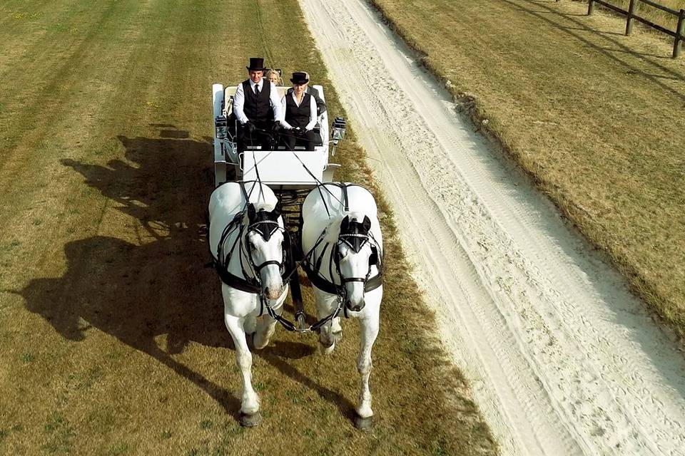 Mariage par Drone