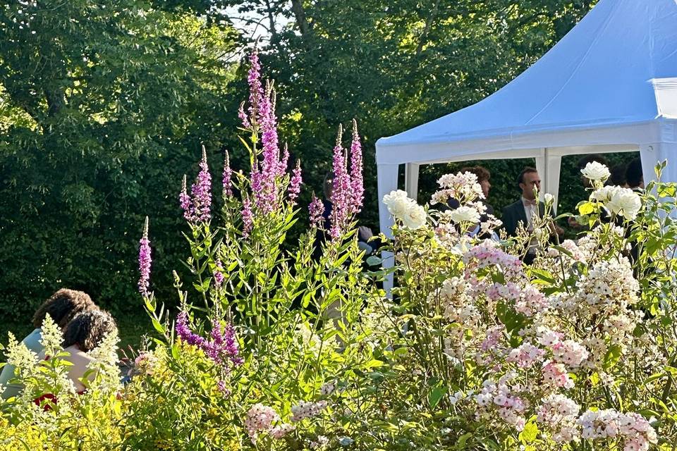 Les jardins au mois de Juin