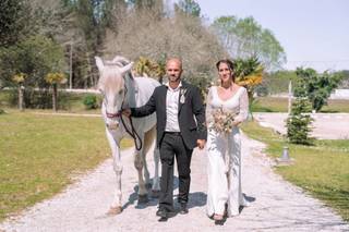 Domaine El Campo