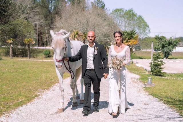 Domaine El Campo