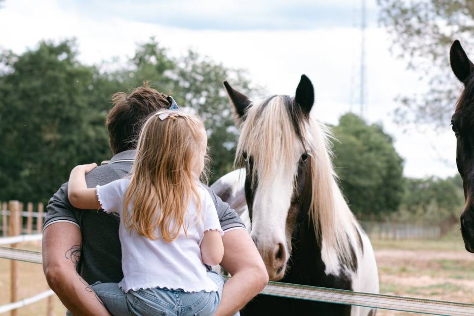 Chevaux