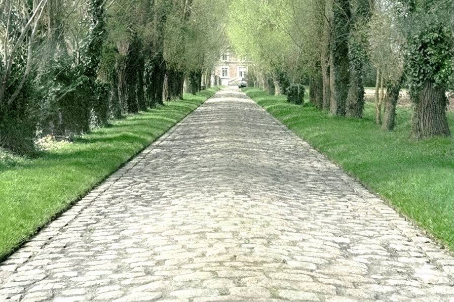 Allée de Saules