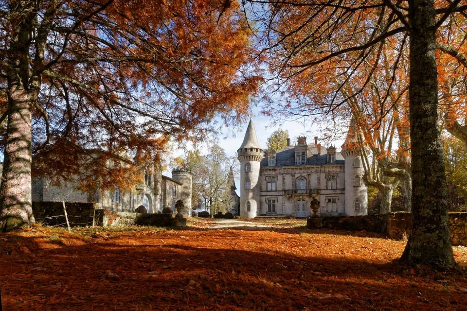 L'allée des Cyprès Chauves