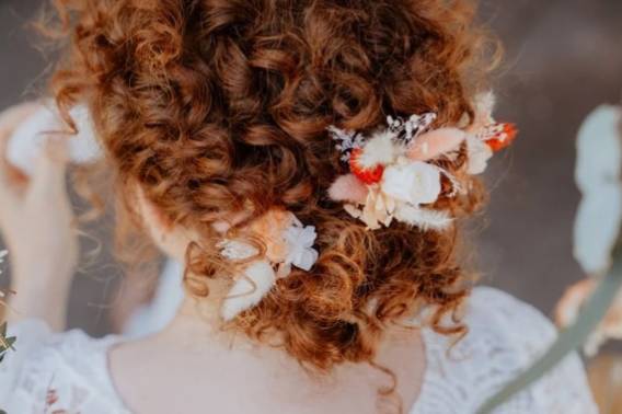 Piques à chignon