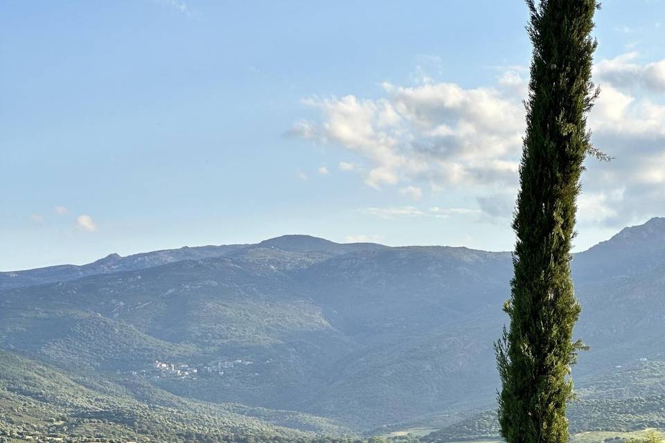 Vue sur le lac