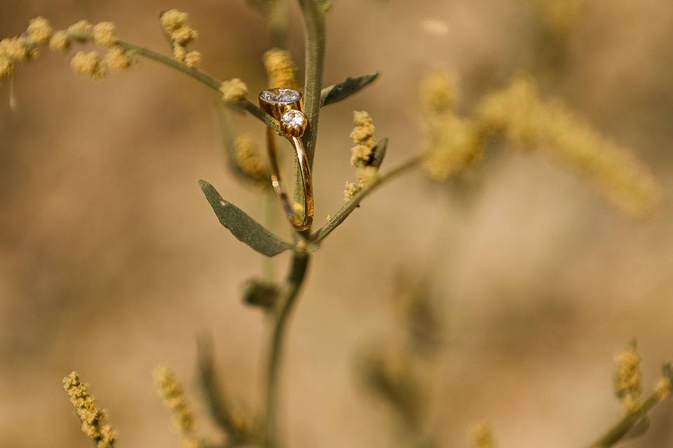 Timeless wedding photography