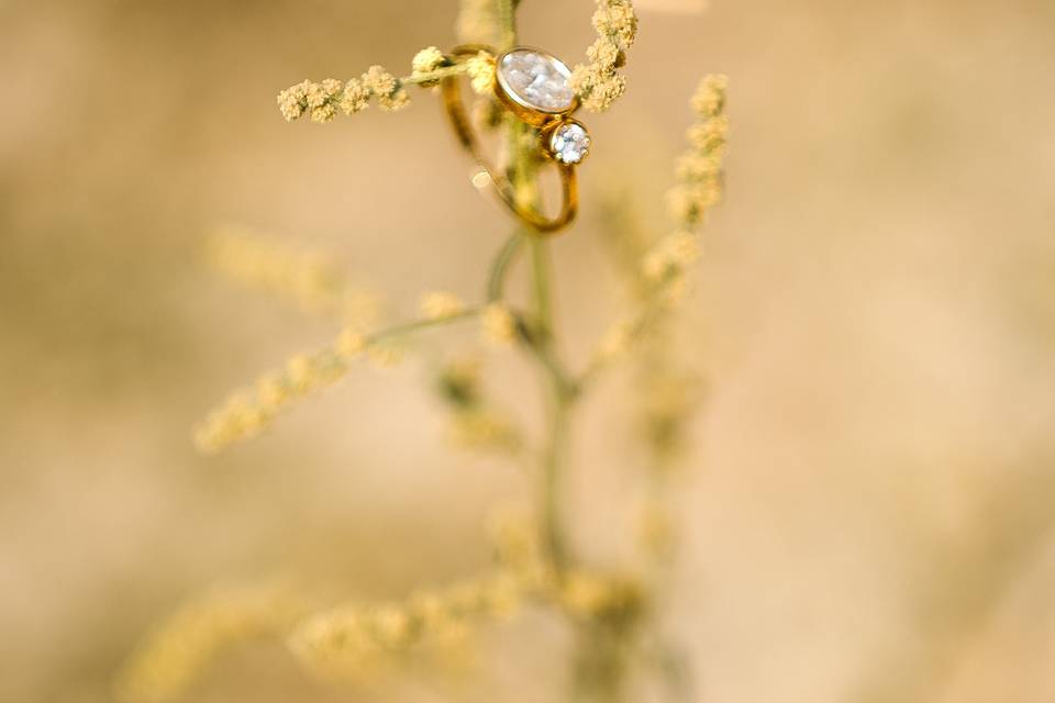 Timeless wedding photography