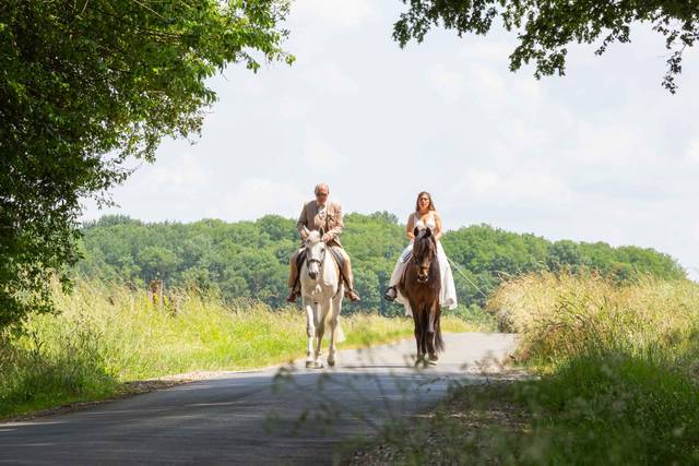 Chevaux