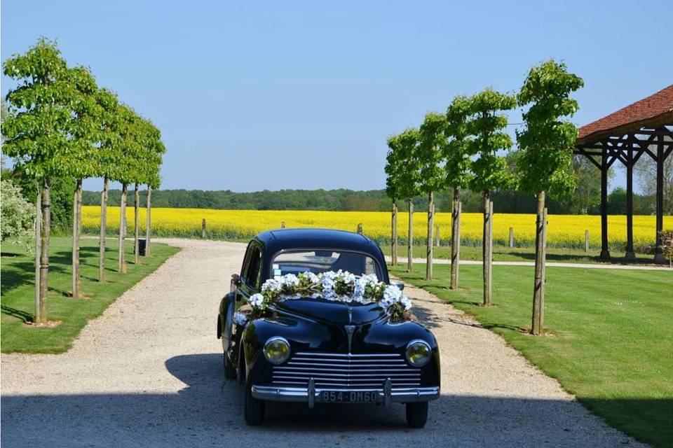 Voiture  fleurie