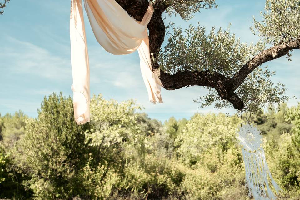Célya & Fabien