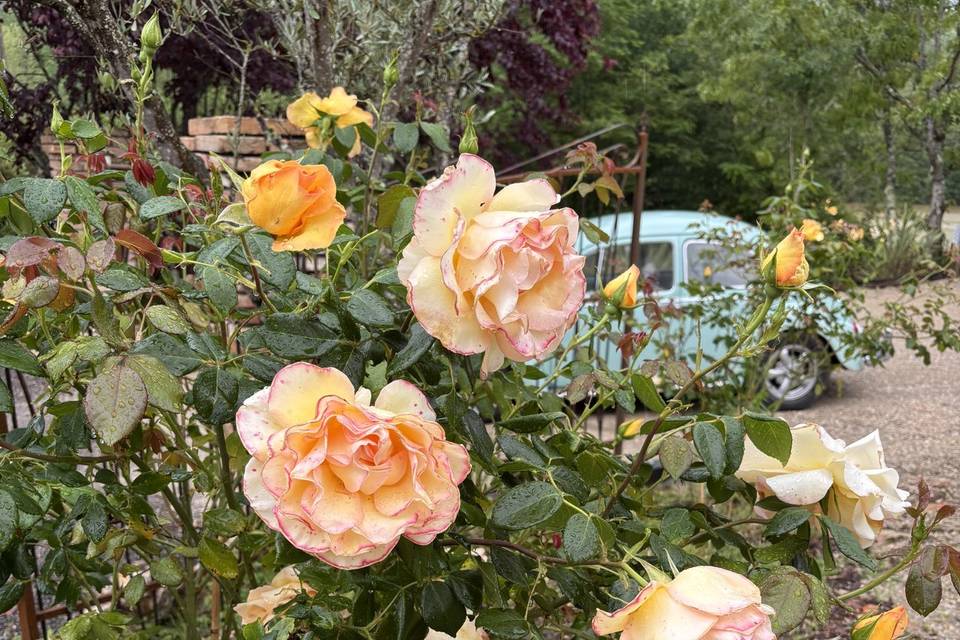 Ambiance florale