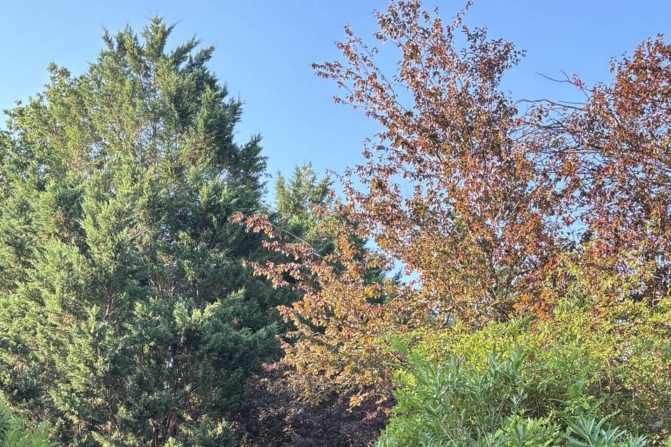 Spot photos