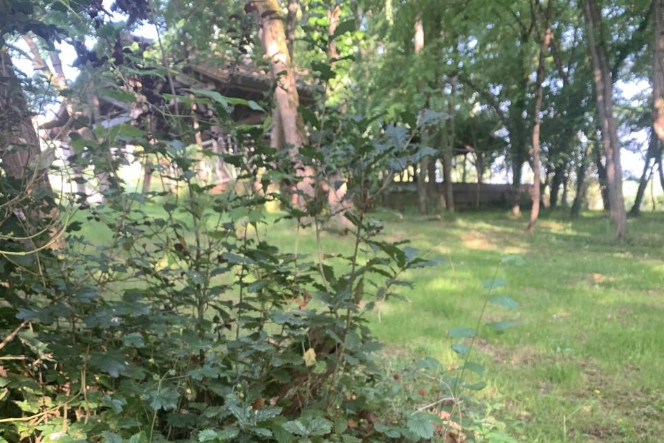 Ecrin de verdure
