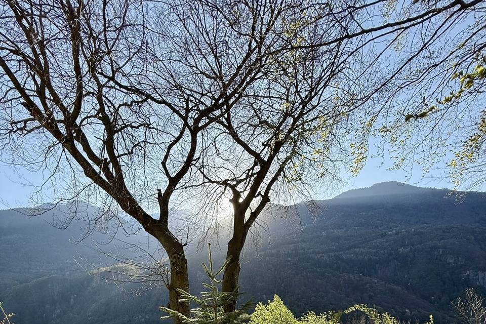 Vue montagne