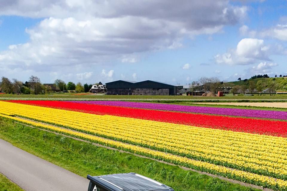 Location van