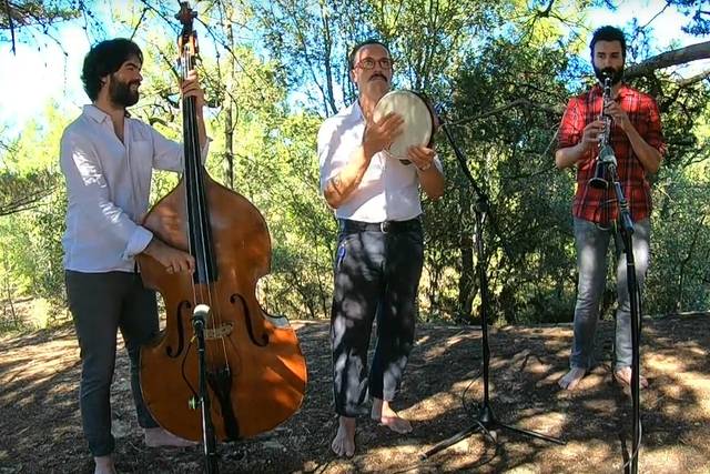 Krivo trio