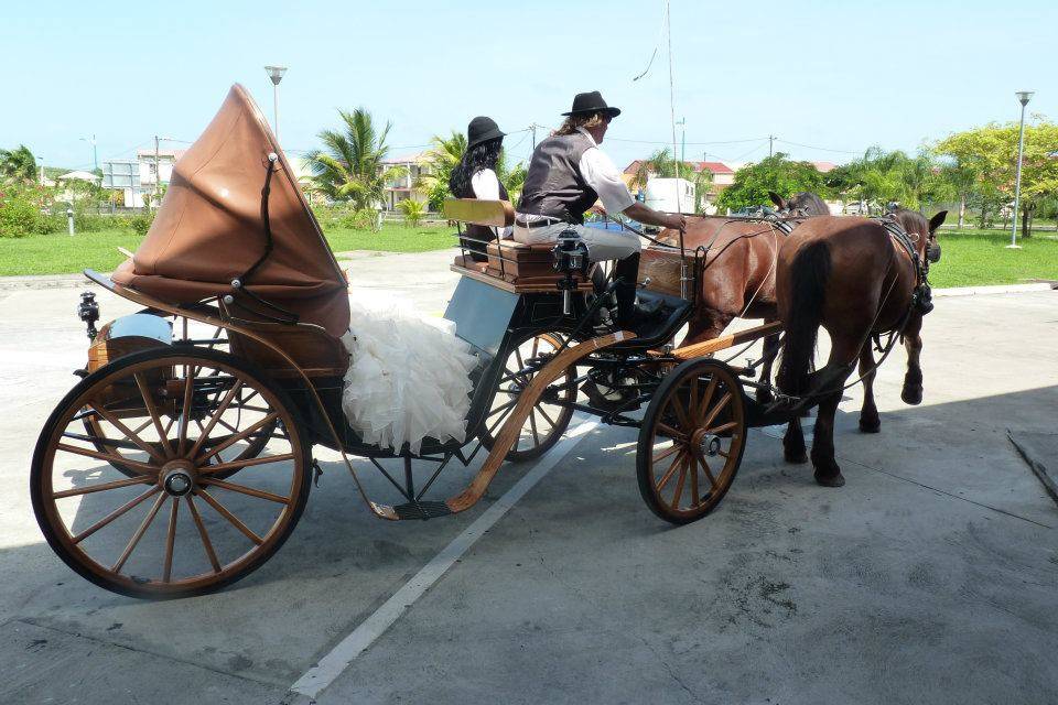 La mariée en calèche