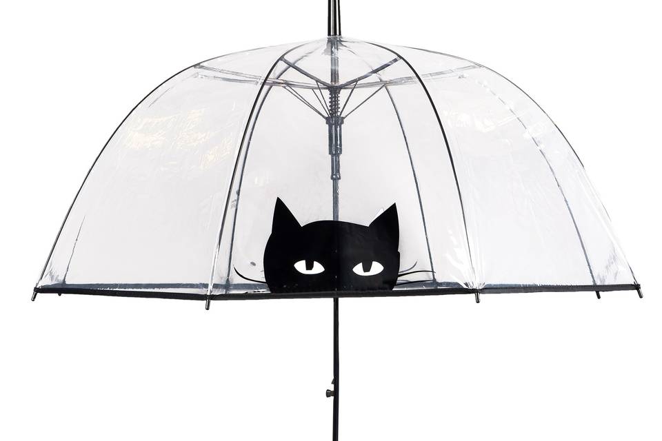 Parapluie chat