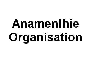 Anamenlhie Organisation logo