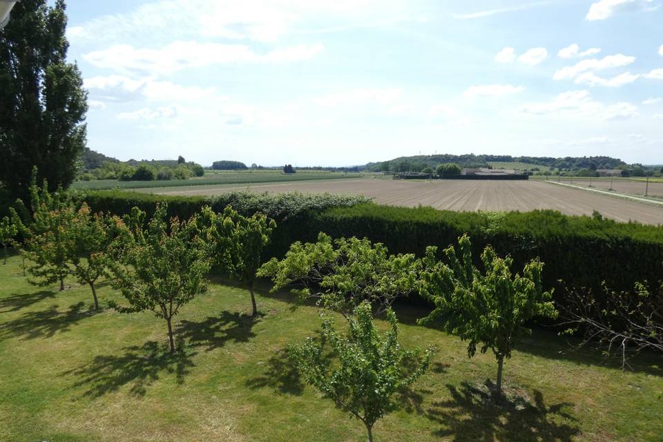 Vue de l'arrière du Mas