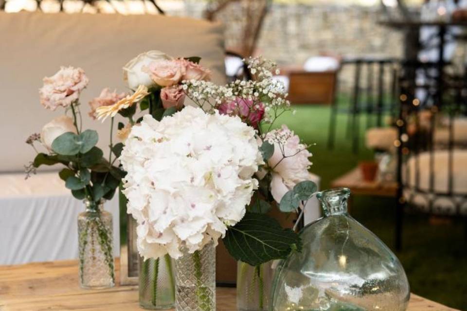 Soliflores hortensia
