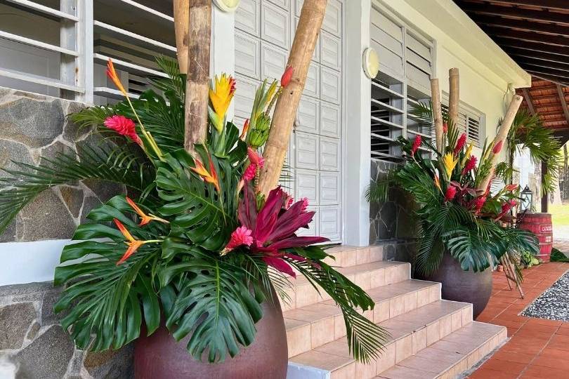 Composition tropicale bambous