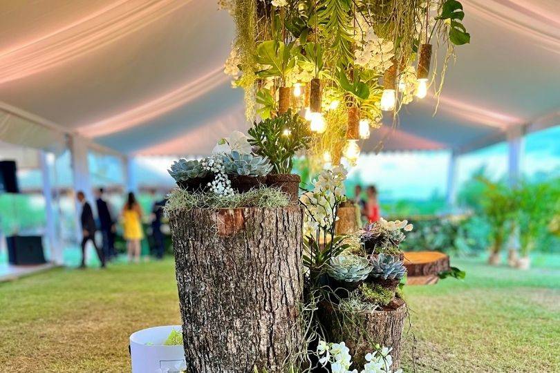 Troncs naturels déco chapiteau