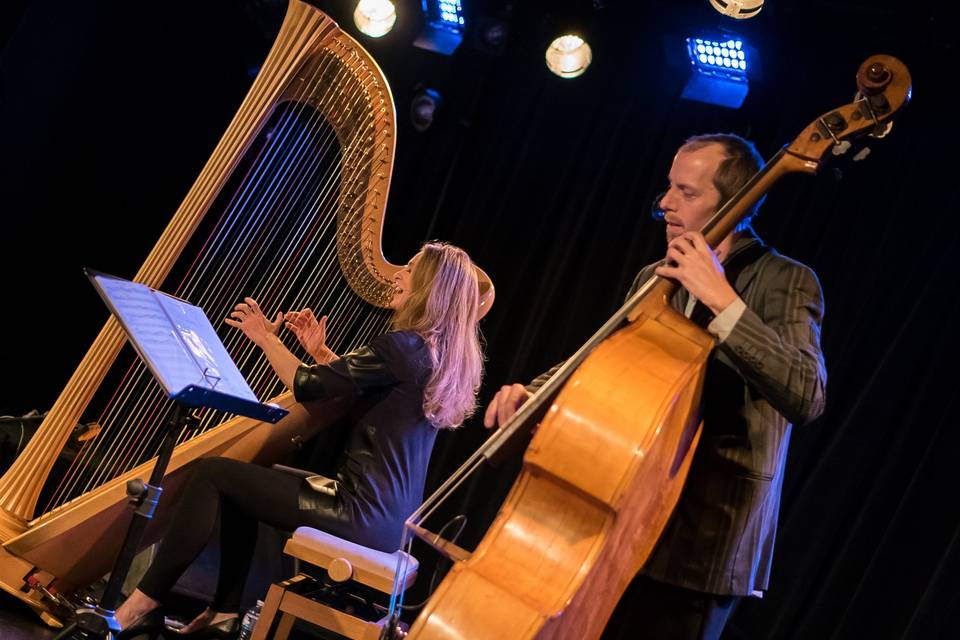 Avrill Harpiste