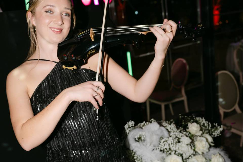 Violonistes disponible