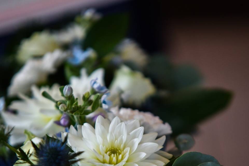 La Petite Fleur qui Danse