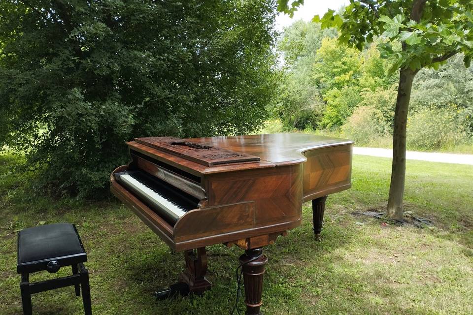 Pianiste
