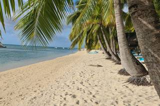 Voyage Nomade