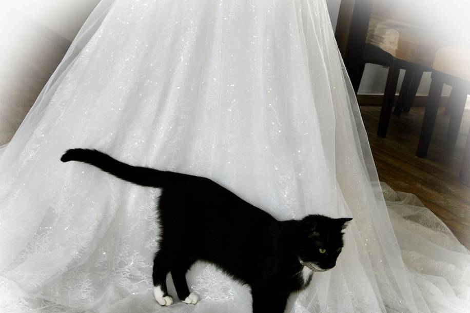 Préparatifs de la Mariée