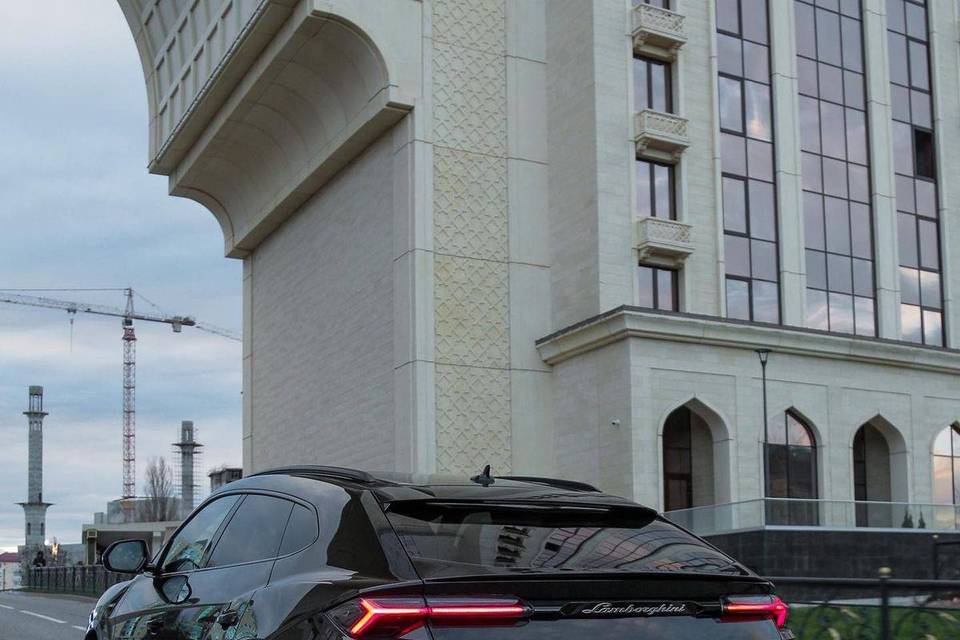 Urus n