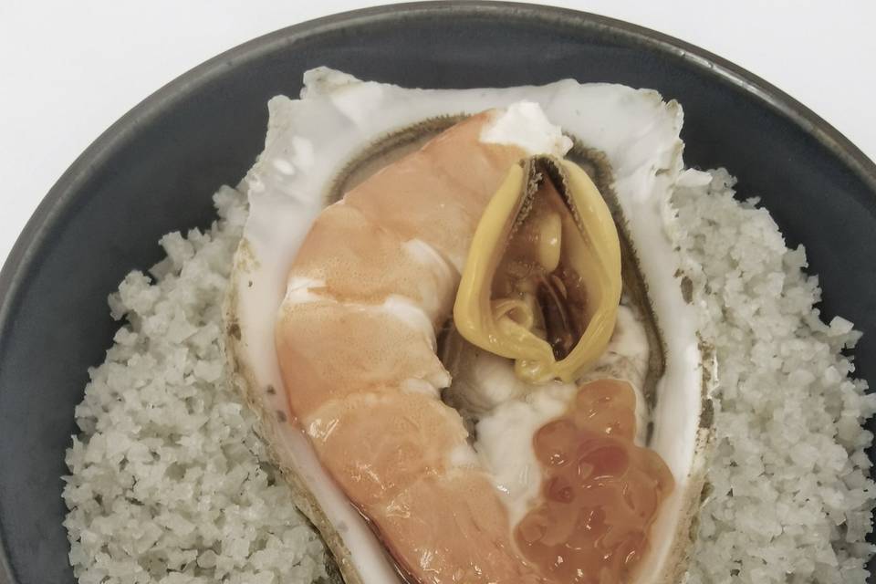 Coquille de fruit de mer