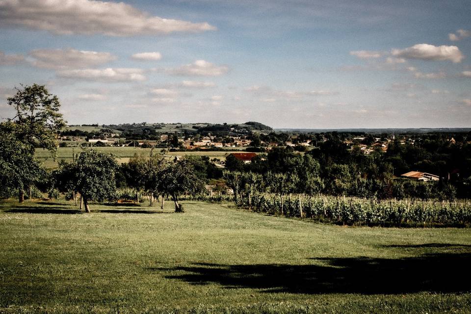 Vue du parc