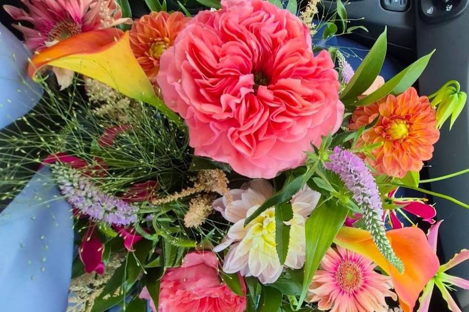 Fleurs