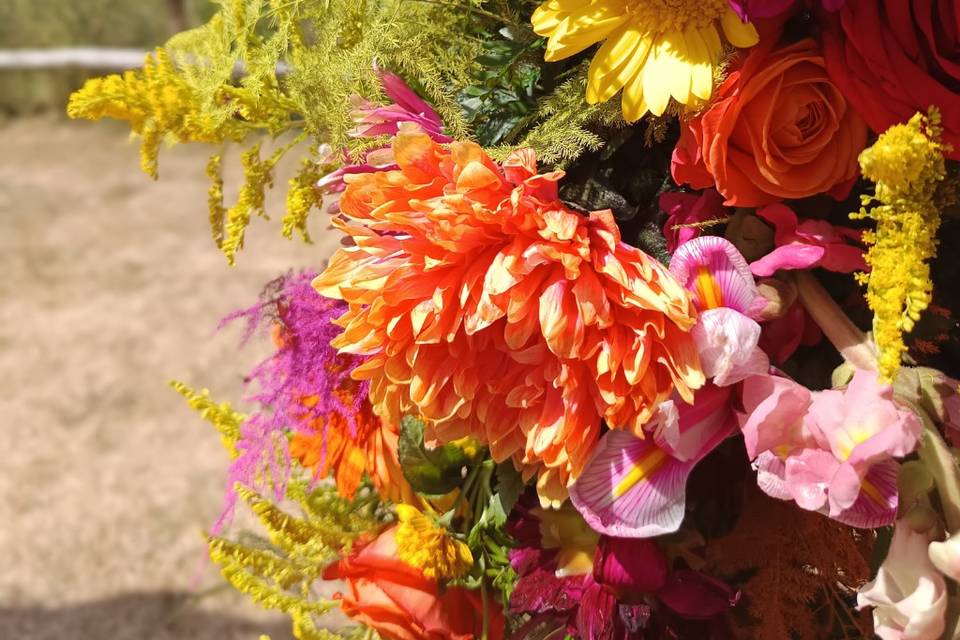 Fleurs